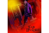 Castiga 3 CD-uri SCARS ON BROADWAY!