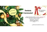 Castiga 1 brad complet decorat cu accesorii specifice de Craciun + 10 vouchere