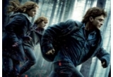 Castiga 2 tricouri cu Harry Potter and the Deathly Hallows 