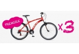 Castiga 3 biciclete Ideal Bikes