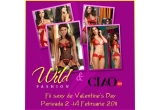 Castiga o lenjerie intima Wild Fashion