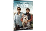Castiga un DVD cu filmul "Due Date"