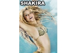 Castiga 2 bilete VIP la concertul Shakira