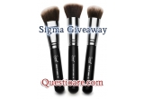 Castiga un kit de pensule de fata oferit de Sigma