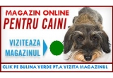 Castiga un tuns gratuit + hrana Royal Canin sau alte premii pentru catelul tau