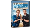 Castiga un DVD cu filmul "Concediu de la casnicie"