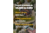 Castiga 5000 EURO sau 500 EURO saptamanal sau 100 EURO instant