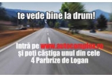 Castiga unul din cele 4 parbrize de Logan