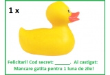 Castiga mancare gatita pentru o luna intreaga