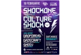 Castiga 2 invitatii la concertul Culture Shock & ShockOne