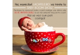 Castiga una dintre cele 50 de invitatii duble la Baby Boom Show