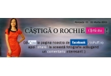 Castiga o rochita ARTISTA