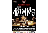 Castiga 2 invitatii simple la concert The Animals la Iasi