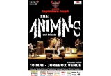 Castiga o invitație dubla la concertul trupei The Animals