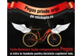 Castiga bicicleta copilariei tale Pegas
