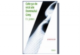 Castiga romanul "Cele 50 de vicii ale Domnului Grey" de EL JAMES