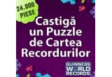 Castiga un puzzle ce a detinut recordul ca fiind cel mai mare puzzle din lume