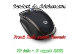 Castiga un mouse HP