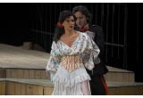 Castiga o invitatie dubla la opera Carmen