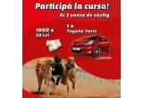 Castiga un autoturism Toyota Yaris sau 1000 x 50 RON
