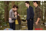 Castiga o invitatie dubla la ultimul film din seria Twilight