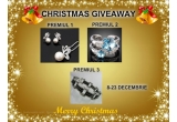 Castiga unul din cele 3 premii pentru Craciun