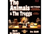 Castiga o invitatie la concertul The Animals & The Troggs