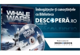 Castiga un dvd cu documentarul "Razboiul Balenelor" 