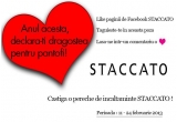 Castiga o pereche de incaltaminte STACCATO