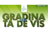 Castiga un voucher de 200 de euro de la City Garden