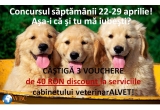 Castiga 4 vouchere de 40 RON discount la cabinetul vetrinar ALVET