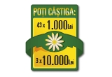 Castiga 10.000 ron sau 1000 ron