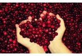 Castiga un cos cu produse delicioase cu merisoare si brosura oficiala cu retete American Cranberry - Merisor American pentru anul 2014