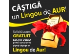 Castiga un lingou de aur