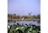 Castiga un sejur de 3 nopți in Delta Dunarii