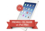 Castiga un iPad Mini, 4 brazi naturali de Craciun si alte 91 de premii