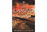 Castiga una din cele doua carți “Un Camino perpetuu-jurnal de pelerin”