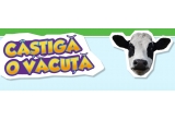 Castiga o vacuta si 365 litri de lapte
