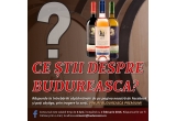 Castiga o sticla de vin de 750 ml din Gama Budureasca Premium