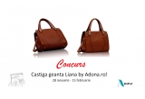 Castiga o geanta Liana by Adona.ro