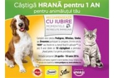 Castiga hrana pentru un an pentru animalutul tau