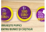 Castiga 11 premii de 1000 euro sau 77 premii de 100 euro