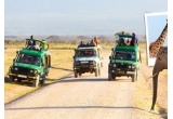Castiga o excursie safari in Kenya Tanzania Zanzibar
