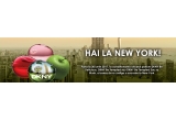 Castiga o excursie la New York
