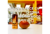 Castiga noile doze Burn asezonate cu mango care sa iti ajunga pentru intreg anul