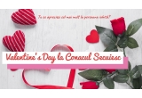 Castiga un wekeend romantic all inclusive la conac pentru 2 persoane de Valentine's day