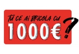 Castiga saptamanal 1000 euro