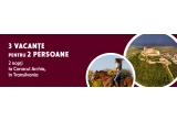 Castiga una dintre cele 3 vacanțe de 2 nopți la Conacul Archia