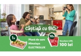 Castiga o placa de sare Himalaya sau vouchere Lidl de 100 lei