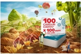 Castiga vouchere Carrefour in valoare de 100 de euro fiecare